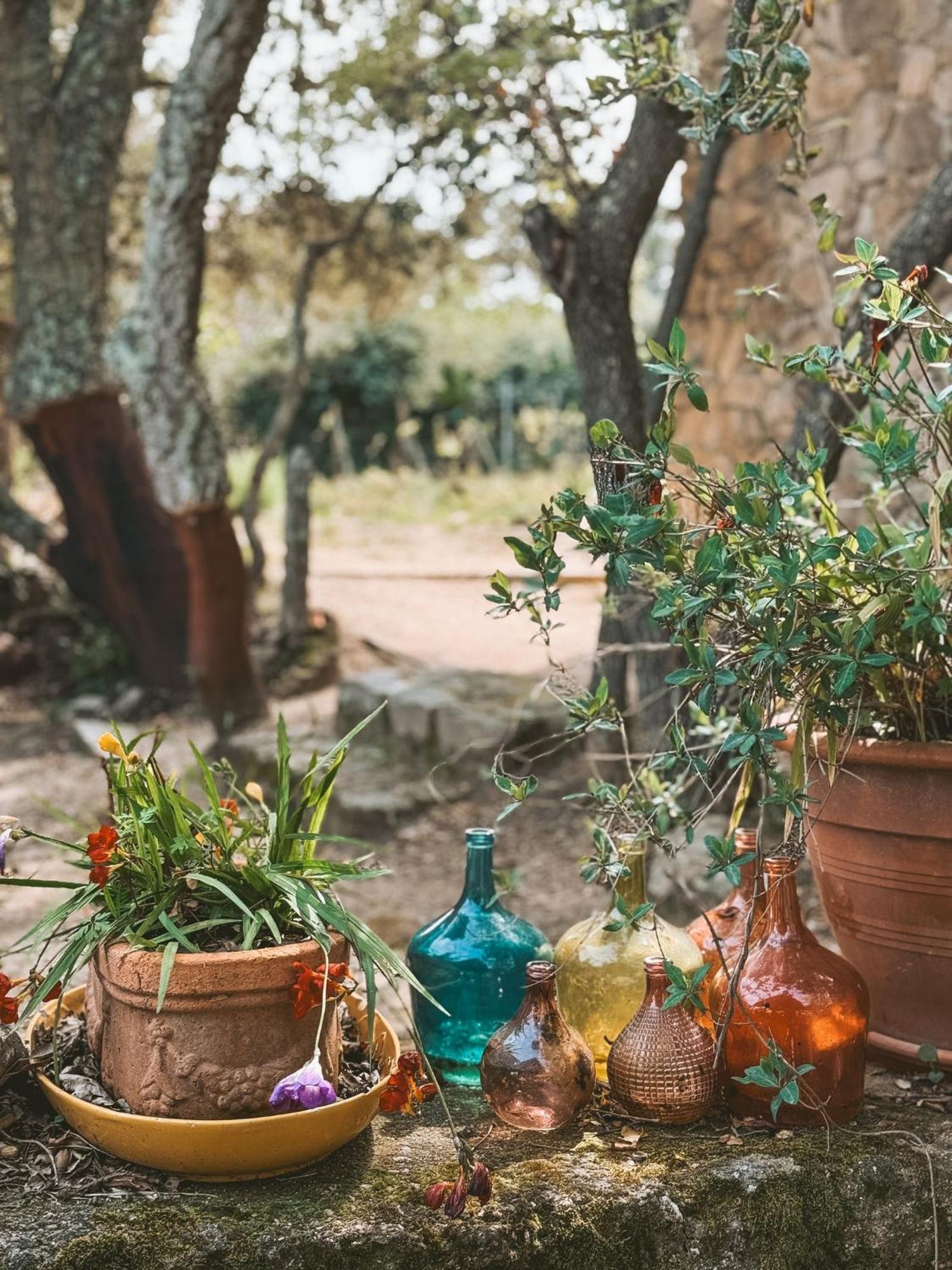 Agriturismo Il Muto Di Gallura Aggius Екстер'єр фото
