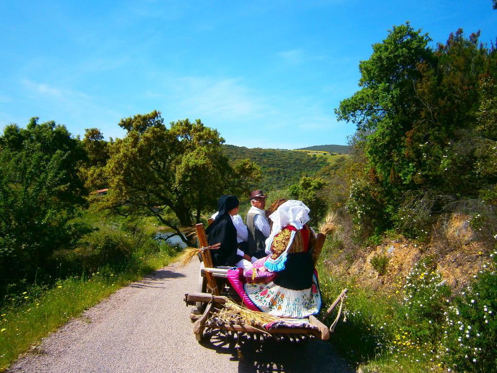 Agriturismo Il Muto Di Gallura Aggius Екстер'єр фото