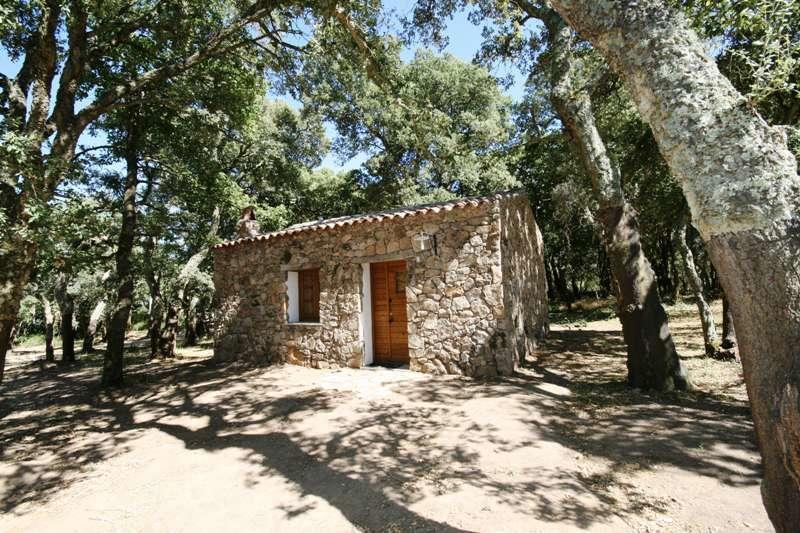 Agriturismo Il Muto Di Gallura Aggius Номер фото