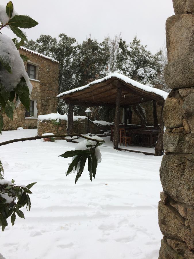 Agriturismo Il Muto Di Gallura Aggius Екстер'єр фото
