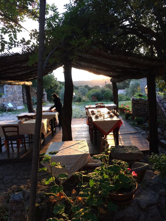Agriturismo Il Muto Di Gallura Aggius Екстер'єр фото