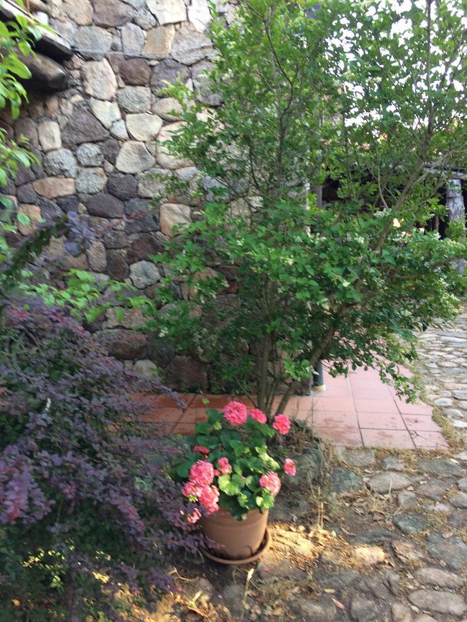 Agriturismo Il Muto Di Gallura Aggius Екстер'єр фото